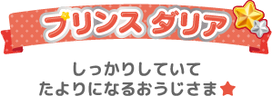 しっかりしていてたよりになるおうじさま